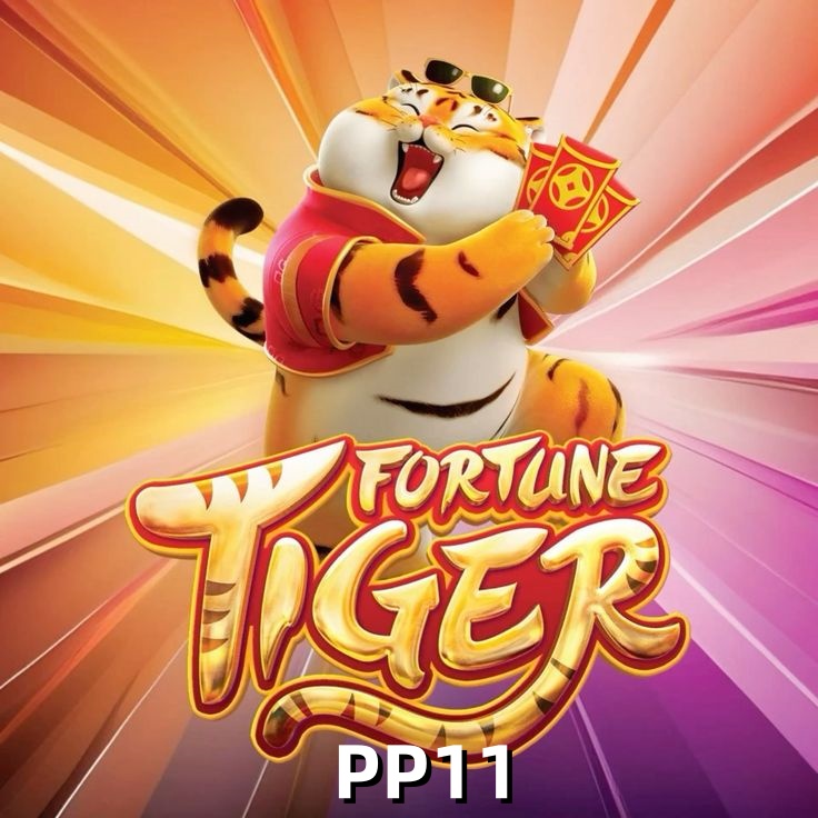  PP11