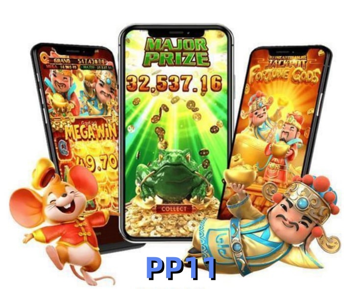  PP11